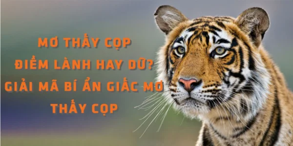 Tìm hiểu thông tin về con cọp con mang đến điềm gì trong giấc mơ Tìm hiểu thông tin về con cọp con mang đến điềm gì trong giấc mơ