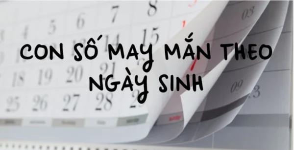 Đặc điểm nổi bật của con số may mắn hôm nay theo tên là gì Đặc điểm nổi bật của con số may mắn hôm nay theo tên là gì