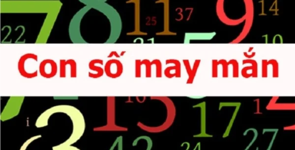 Cách tìm Con số may mắn trong ngày hiệu quả nhất Cách tìm Con số may mắn trong ngày hiệu quả nhất