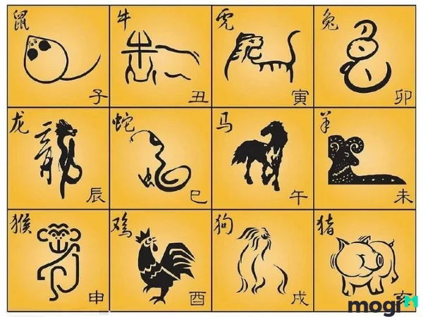 Đặc điểm nổi bật của con số vàng 12 con giáp là gì? Đặc điểm nổi bật của con số vàng 12 con giáp là gì?