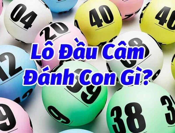 Tìm hiểu thông tin về đầu lô câm Tìm hiểu thông tin về đầu lô câm