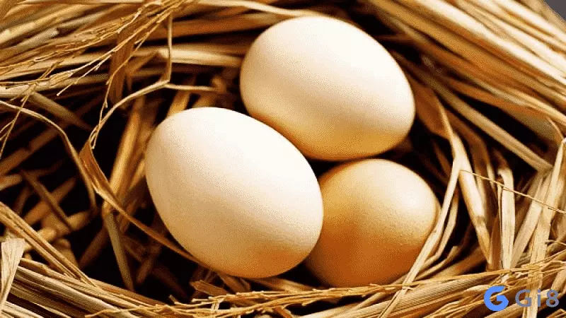 Mơ thấy trứng gà nở đánh con gì bất bại thần sầu? Mơ thấy trứng gà nở đánh con gì bất bại thần sầu?