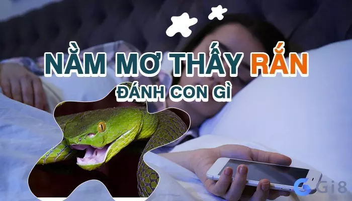 rắn số mấy rắn số mấy