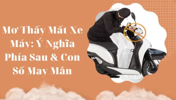 Nắm thông tin về mơ thấy mất xe để áp dụng hiệu quả Nắm thông tin về mơ thấy mất xe để áp dụng hiệu quả