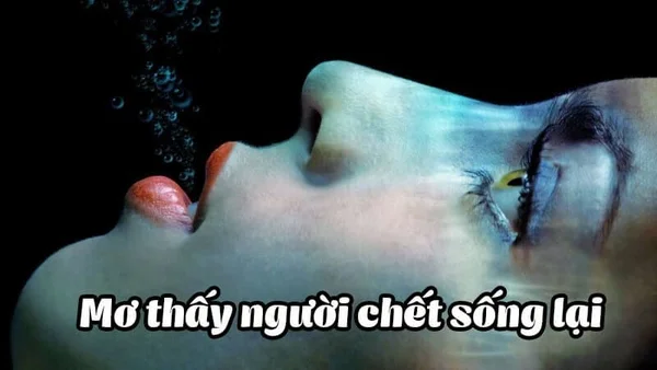 Ý nghĩa của những giấc mơ thấy người chết là gì? Ý nghĩa của những giấc mơ thấy người chết là gì?
