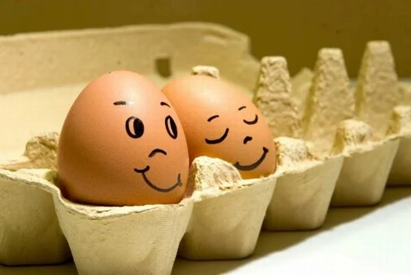 Mơ thấy trứng gà số mấy và mang theo những điềm báo gì? Mơ thấy trứng gà số mấy và mang theo những điềm báo gì?