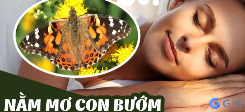 Gặp bướm trong giấc mơ Con buom so may? Lời giải đáp từ dân chuyên