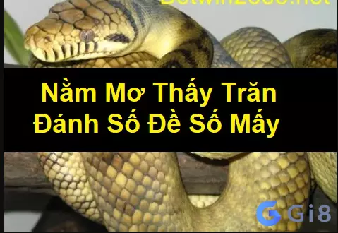 Giãi mã mơ thấy trăn Mơ thấy con trăn là điềm báo gì?