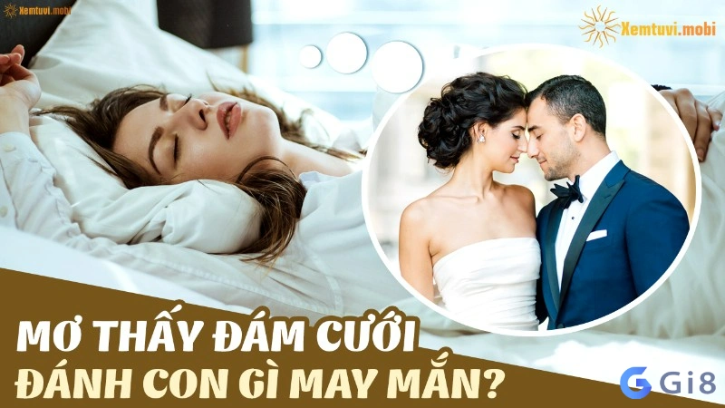 mo thay dam cuoi mo thay dam cuoi