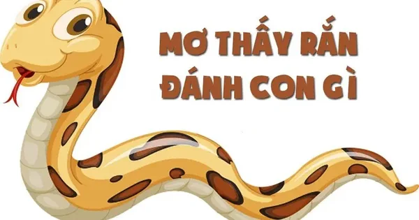 Đáp án rắn đánh số mấy? Đáp án rắn đánh số mấy?