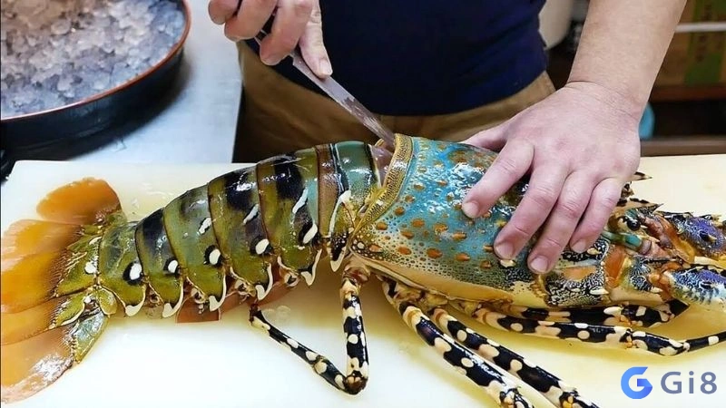 Giải đáp cho vấn đề mơ thấy con tôm hùm số mấy Giải đáp cho vấn đề mơ thấy con tôm hùm số mấy