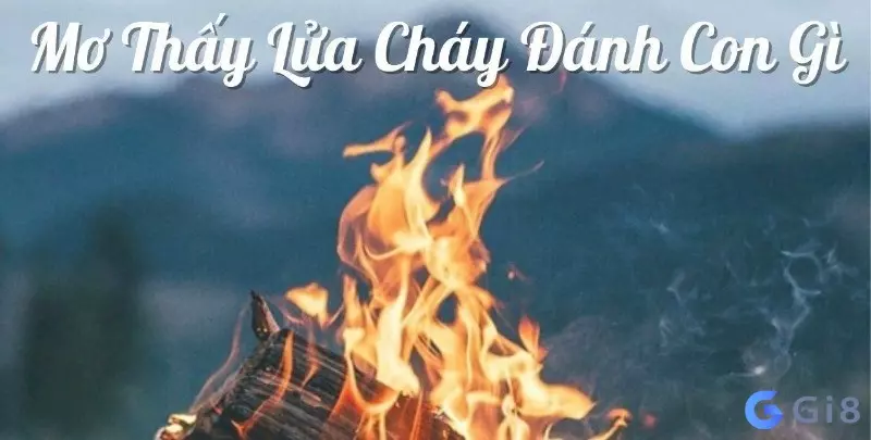 lửa số mấy lửa số mấy