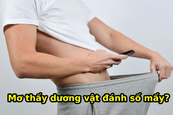 Ý nghĩa điềm báo từ giấc mơ thấy dương vật Ý nghĩa điềm báo từ giấc mơ thấy dương vật