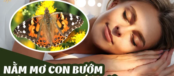 Ý nghĩa chi tiết cho giấc mơ thấy bướm Ý nghĩa chi tiết cho giấc mơ thấy bướm