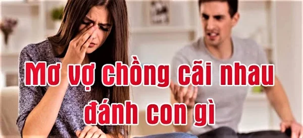 Mơ thấy vợ chồng chửi nhau có ý nghĩa gì? Mơ thấy vợ chồng chửi nhau có ý nghĩa gì?