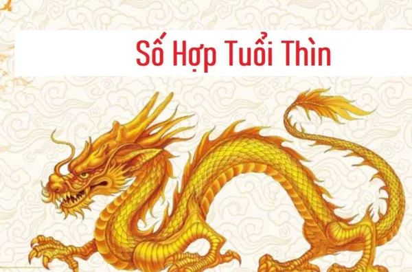 Đặc điểm đặc trưng từ người tuổi mậu thìn Đặc điểm đặc trưng từ người tuổi mậu thìn