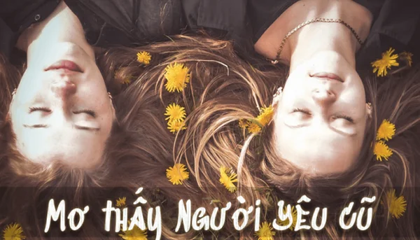 Mơ thấy gặp người yêu cũ thì có ý nghĩa gì? Mơ thấy gặp người yêu cũ thì có ý nghĩa gì?