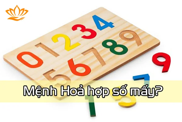 Người mạng hỏa hợp số mấy ? Người mạng hỏa hợp số mấy ?