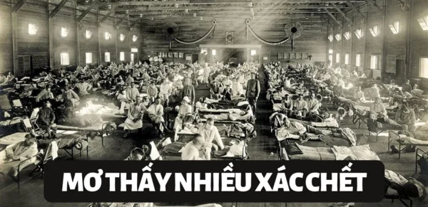 Lý giải việc mơ thấy nhiều xác chết? Mơ thấy nhiều xác chết đánh con gì Lý giải việc mơ thấy nhiều xác chết? Mơ thấy nhiều xác chết đánh con gì
