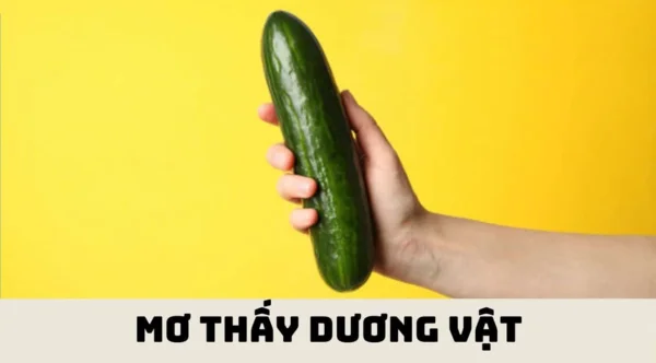 Cụ thể giải mã giấc mơ thấy dương vật Cụ thể giải mã giấc mơ thấy dương vật