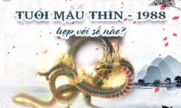 Số may mắn của tuổi mậu thìn – số chính là 3 Số may mắn của tuổi mậu thìn - số chính là 3