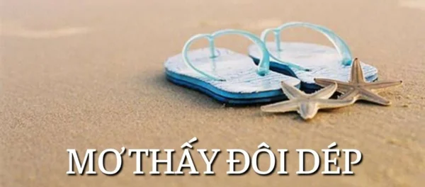 Luận giải chi tiết khi mơ thấy dép Luận giải chi tiết khi mơ thấy dép