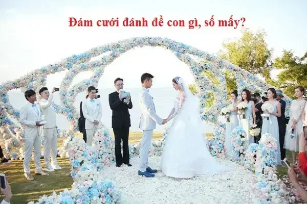 Chi tiết từng giấc mơ đi đám cưới và ý nghĩa cụ thể Chi tiết từng giấc mơ đi đám cưới và ý nghĩa cụ thể