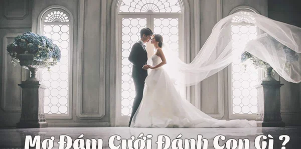 Đáp án khi mơ thấy đi ăn đám cưới đánh con gì Đáp án khi mơ thấy đi ăn đám cưới đánh con gì