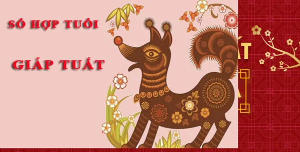 Ý nghĩa mỗi con số may mắn của người tuổi tuất Ý nghĩa mỗi con số may mắn của người tuổi tuất