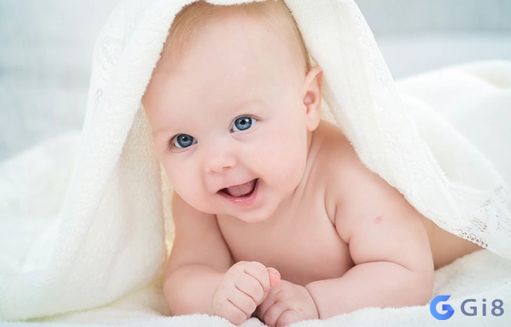 con số đề con số đề