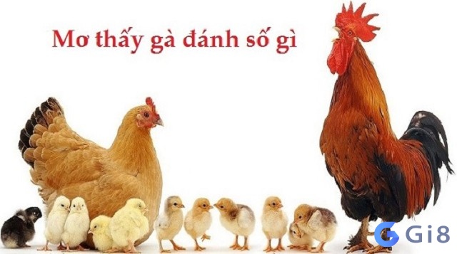 Mơ thấy gà đánh con gì giúp để mang lại lại may mắn ? số đề con gà