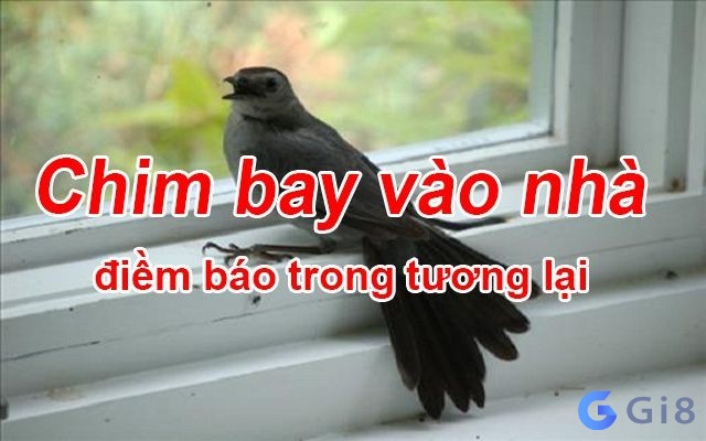 Chim bay váo nhà báo hiệu điều gì đem lại vân may hay xui xẻo cho gia chủ? chim vào nhà