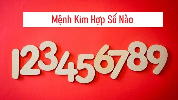 Người mệnh Kim hợp những số nào? Người mệnh Kim hợp những số nào?