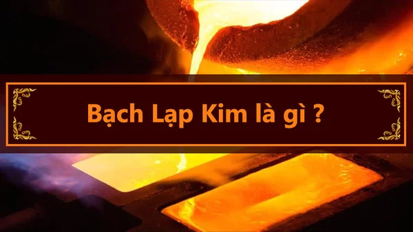 Năm sinh của người mệnh Bạch lạp kim nghĩa là gì? Năm sinh của người mệnh Bạch lạp kim nghĩa là gì?