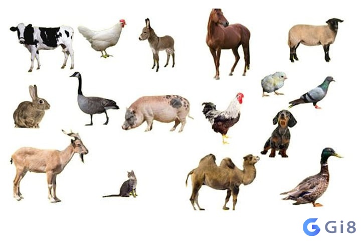 giải mã giấc mơ lô de giải mã giấc mơ lô de