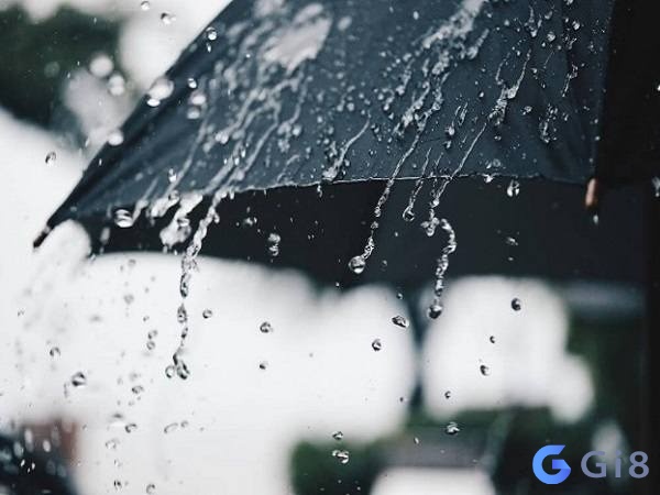 Gặp mưa ngâu trong mơ báo hiệu điềm gì. mơ trời mưa