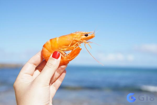 Chiêm bao về con tôm đánh số mấy? Con tôm số mấy