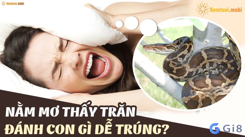 Mơ trăn đánh con gì? Giải mã các giấc mơ cùng gi88 Mơ trăn đánh con gì? Giải mã các giấc mơ cùng gi88
