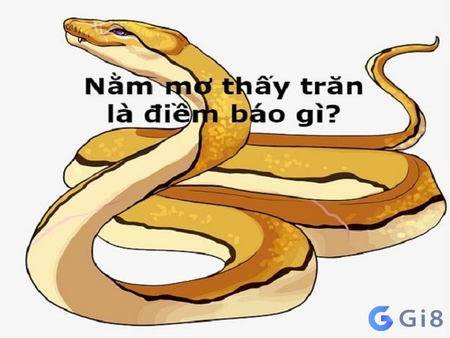 Giải mã giấc mơ về điềm báo khi thấy con trăn Giải mã giấc mơ về điềm báo khi thấy con trăn