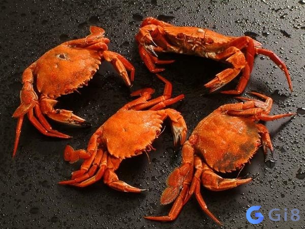 Nằm mơ thấy cua là điều tốt hay xấu? Nằm mơ thấy cua là điều tốt hay xấu?