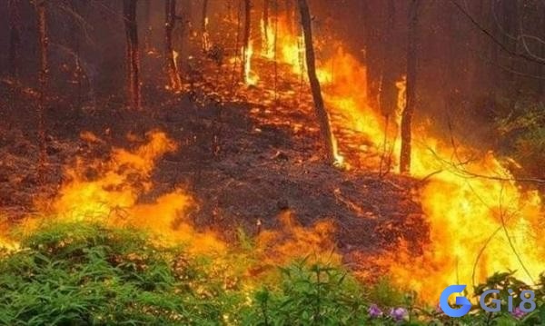 Cháy là số mấy còn tùy thuộc vào chi tiết của giấc mơ Cháy là số mấy còn tùy thuộc vào chi tiết của giấc mơ
