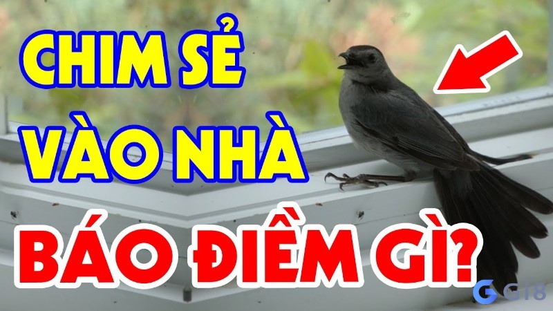 Chim sẻ đen bay vào nhà chim đen bay vào nhà
