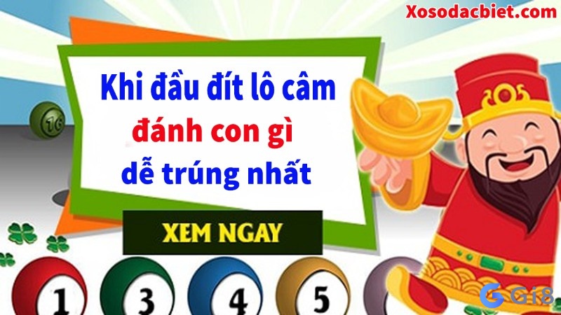 Lô câm đầu câm, câm đít đánh con gì ăn chắc? Dau dit cam danh so gi vào ngày mai nổ lớn