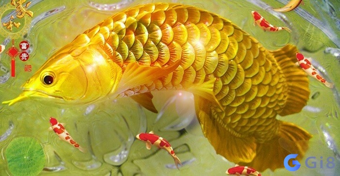 Giải mã giấc mơ thấy cá mang đến dự cảm gì? Giải mã giấc mơ thấy cá mang đến dự cảm gì?