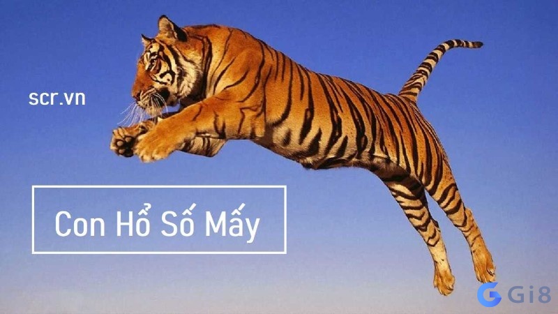 Con cọp là số mấy: Gi88 giải mã những giấc mơ về con cọp Con cọp là số mấy: Gi88 giải mã những giấc mơ về con cọp