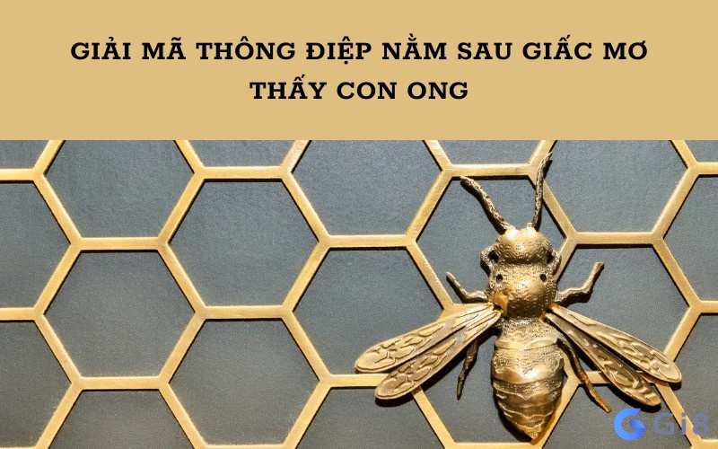 Mơ thấy ong thường mang lại thông điệp tốt đẹp Mơ thấy ong thường mang lại thông điệp tốt đẹp