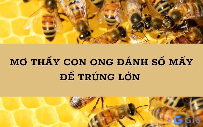Mơ thấy con ong có thể sẽ giúp bạn chọn được con số may mắn cho mình con ong đánh số mấy