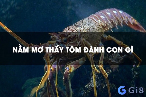 Con tôm trong số đề là số mấy? Đánh con nào hôm sau trúng lô? Con tôm trong số đề là số mấy? Dự báo những điều gì trong tương lai?