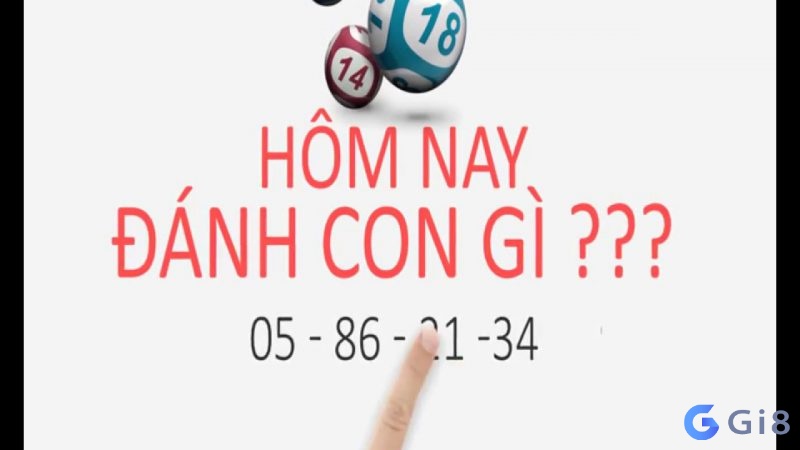 Lựa chọn số đề hay về Lựa chọn số đề hay về
