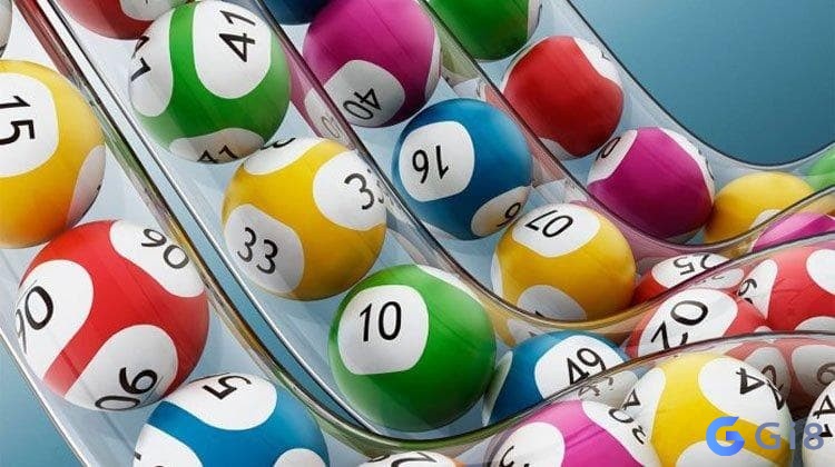 Tìm hiểu về dạng lô 3 càng Tìm hiểu về dạng lô 3 càng